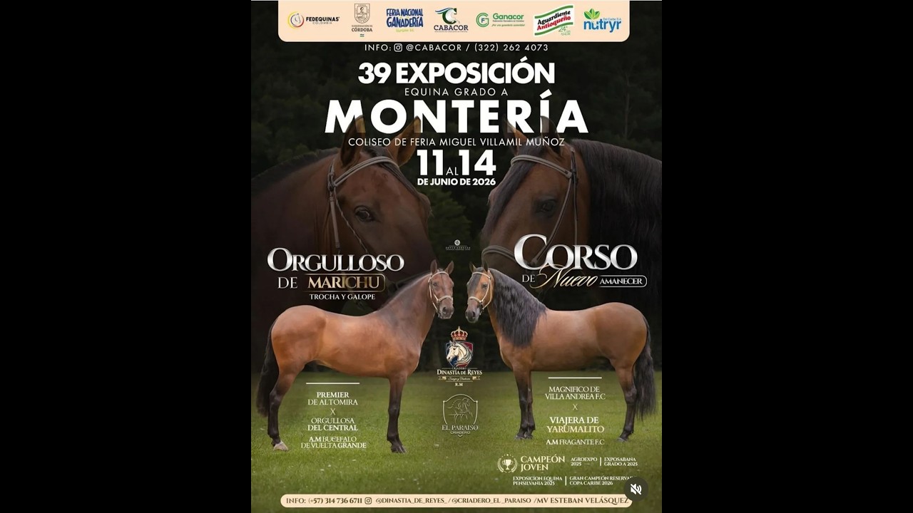 39 EXPOSICION EQUINA GRADO A MONTER&Iacute;A  C&Oacute;RDOBA-  TROCHA COLOMBIANA -  DIA 3
