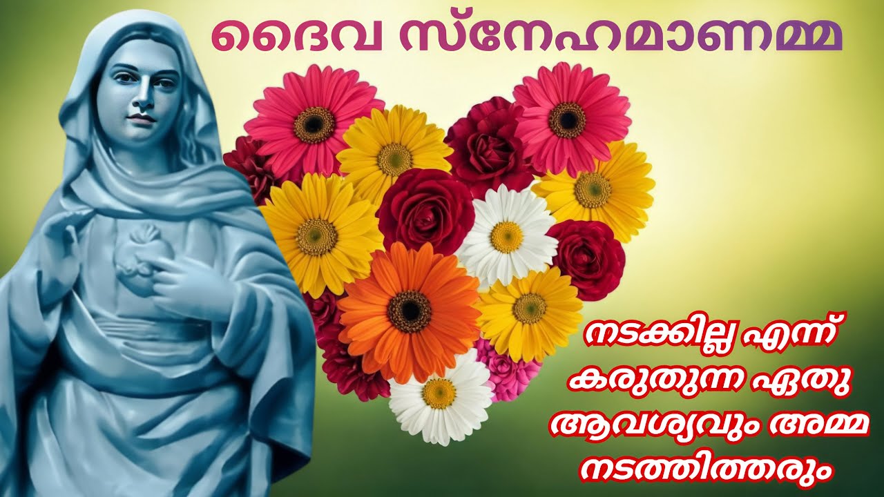 നടക്കില്ല എന്ന് കരുതുന്ന ആവശ്യവും അമ്മ നടത്തിത്തരും 13/3/26 #kripasanam  #kreupasanam #കൃപാസനംഅമ്മ