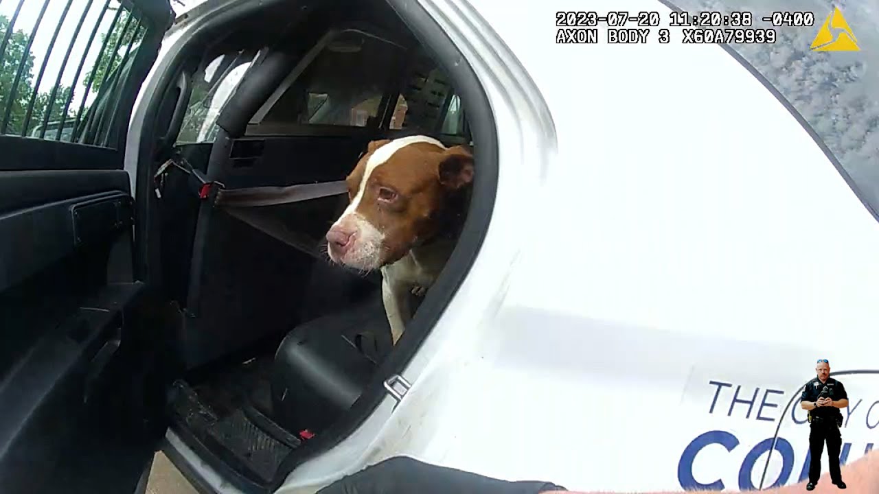 Officers Rescue 