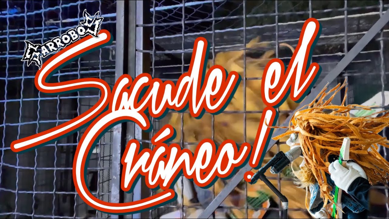 Jack Distortion - Sacude el cráneo (Garrobos Cover)