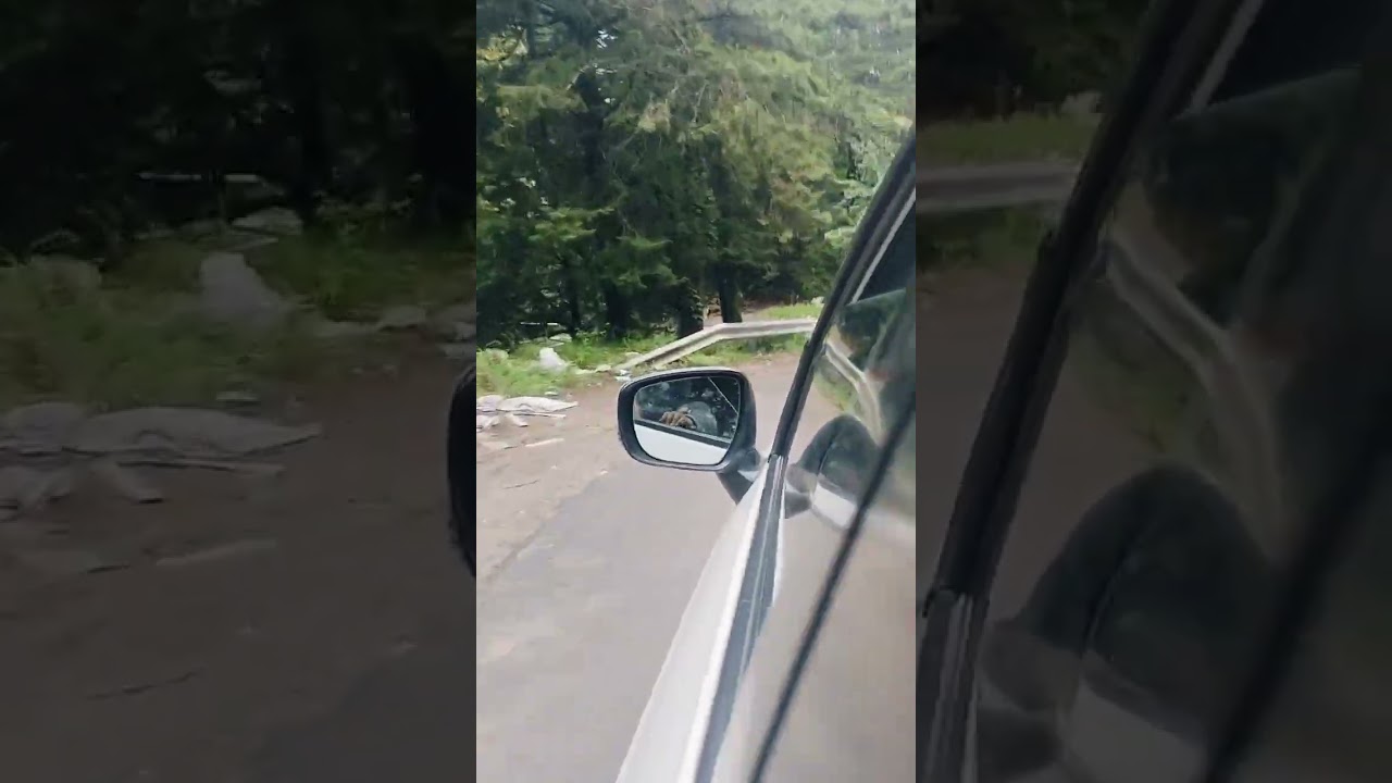 my baby's first trip to the mountains 🏞️💫#uttarakhand diary 🤍💙 #trandingshortsvideos
