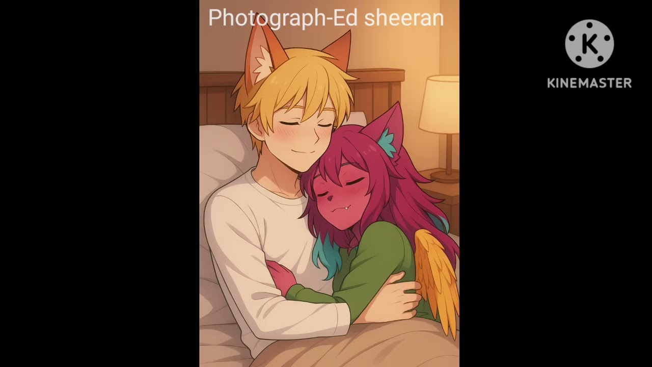 Photograph-Ed Sheeran (cover)