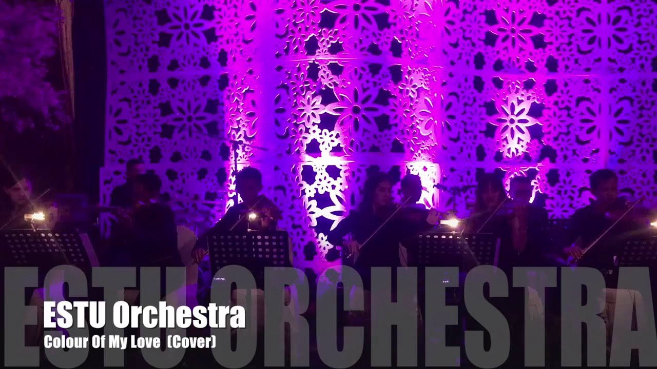 Colour Of My Love - ESTU Orchestra (Cover)