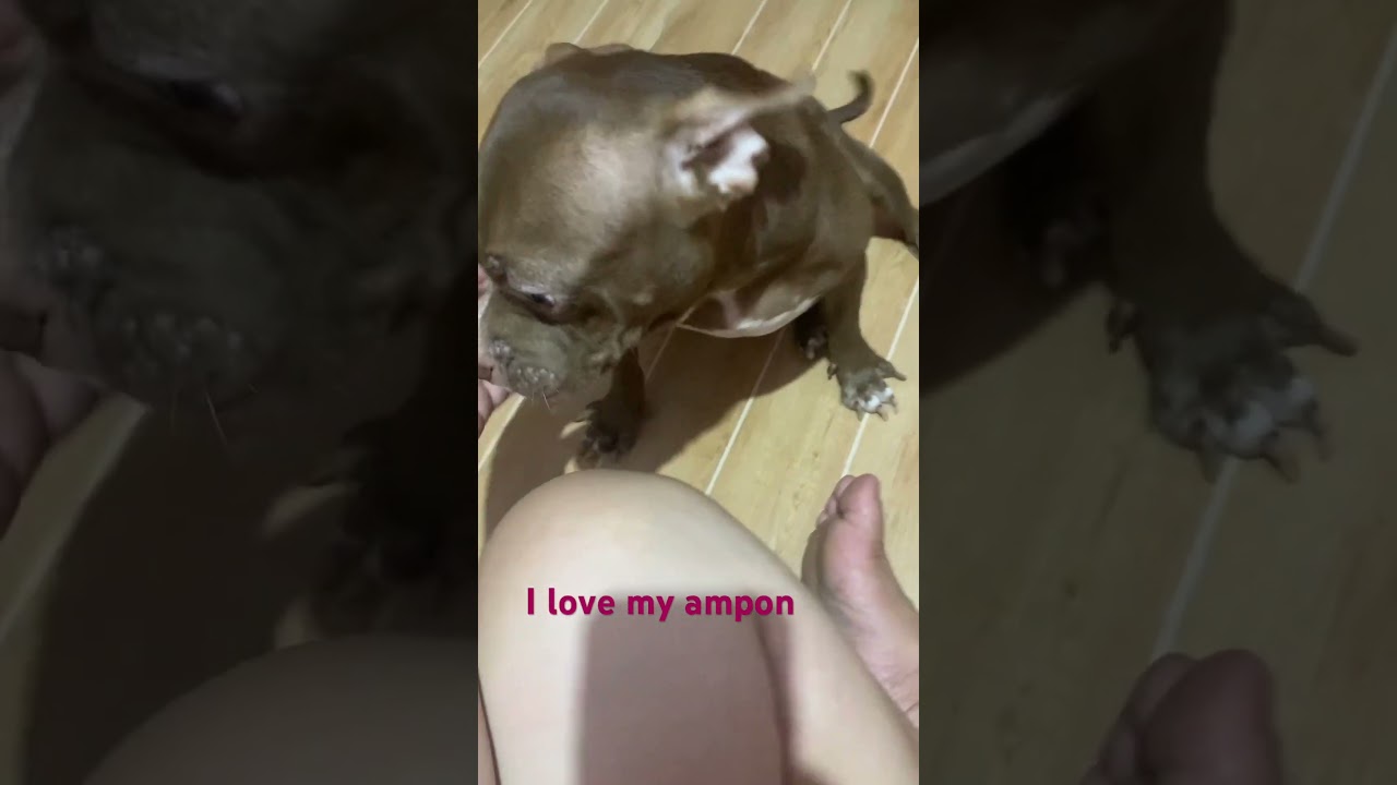 #Ampon