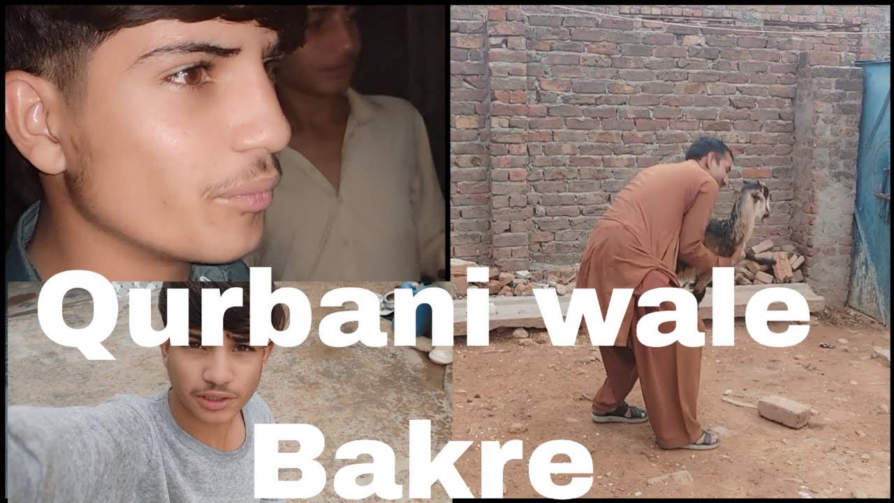 Qurbani wale Bakre Humne Kyon bhej diye 