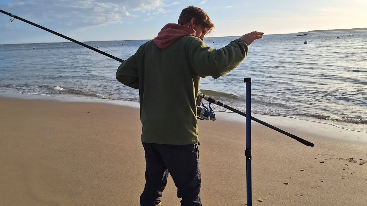 Surfcasting dans le bassin d'arcachon, reprise de la saison 2024 , soleil, pistiche , poissons