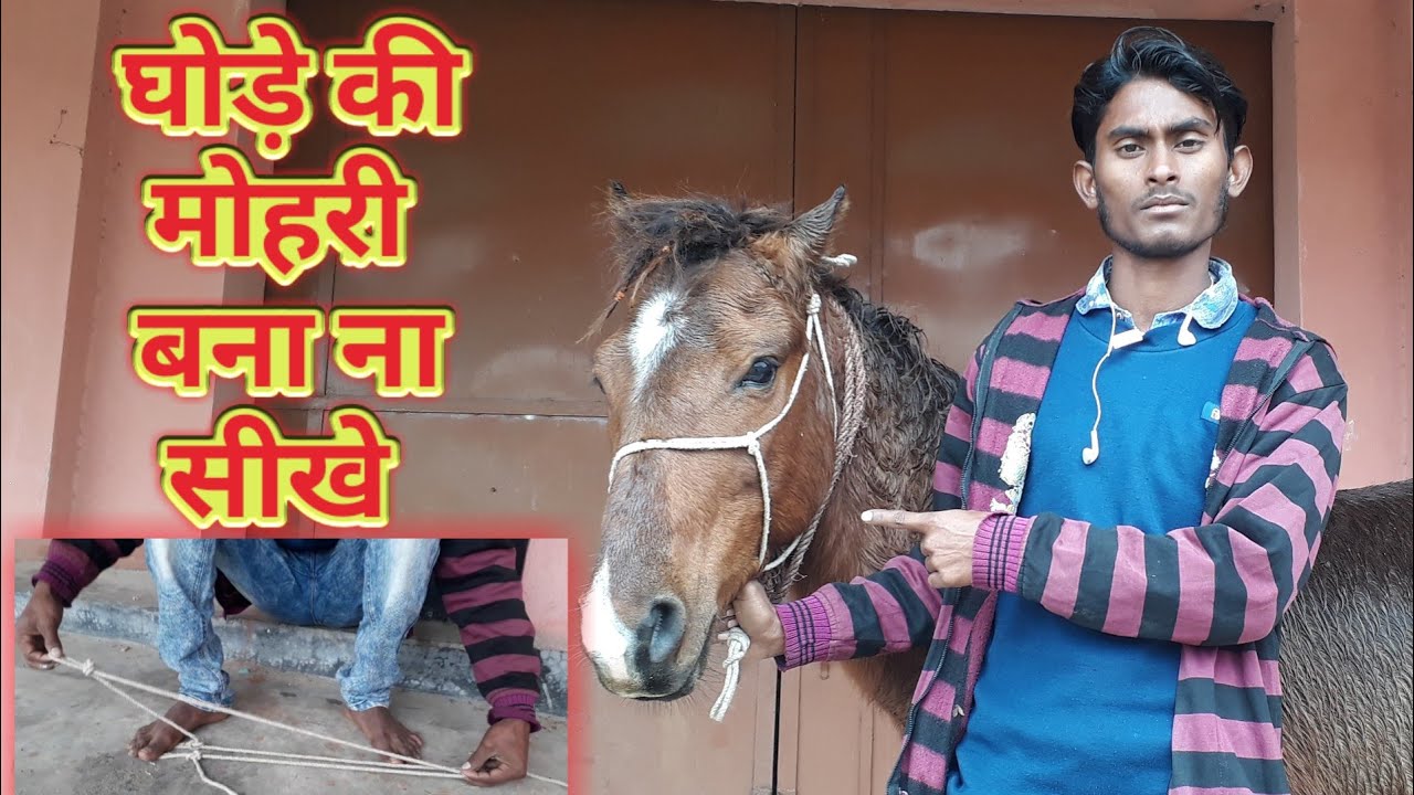 How to make horse rope halter in hindi