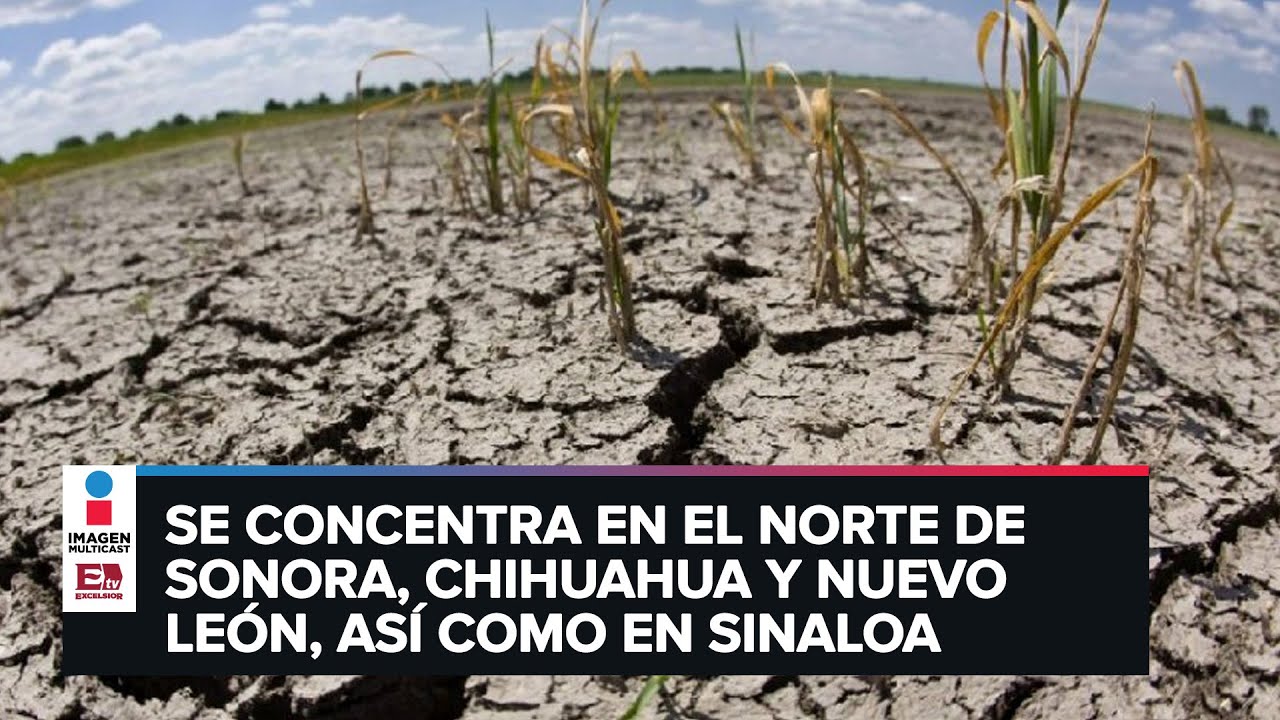 Sequ&iacute;a severa es una realidad en varios estados de M&eacute;xico