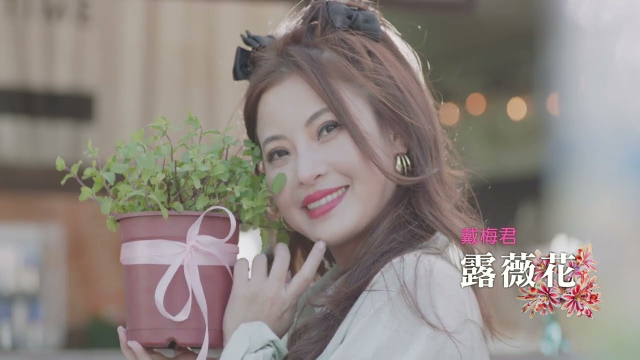 [首播] 戴梅君 - 露薇花 MV
