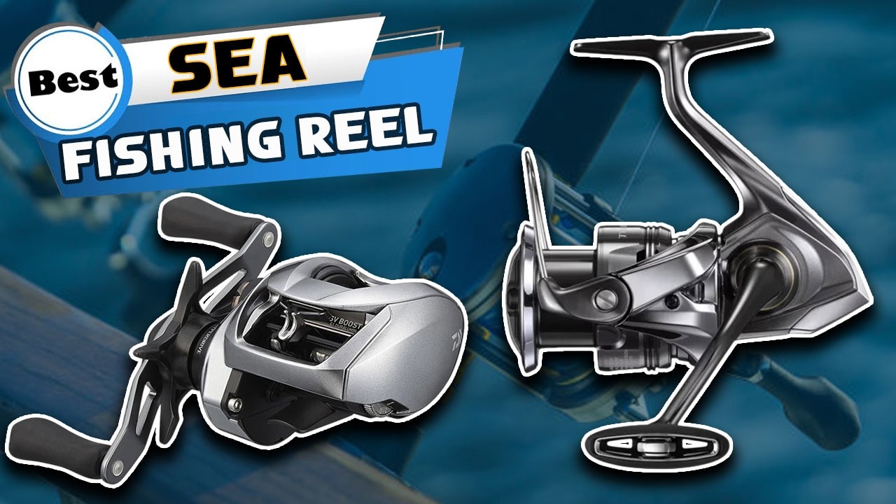 Top 3 Sea Fishing Reel 2026 |  Aliexpress