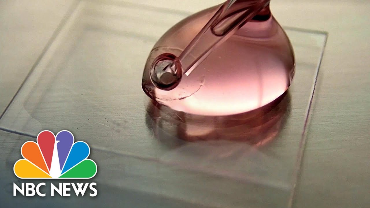 Covid-19 Virus Can Survive Up To 28 Days, Scientists Say | NBC News NOW