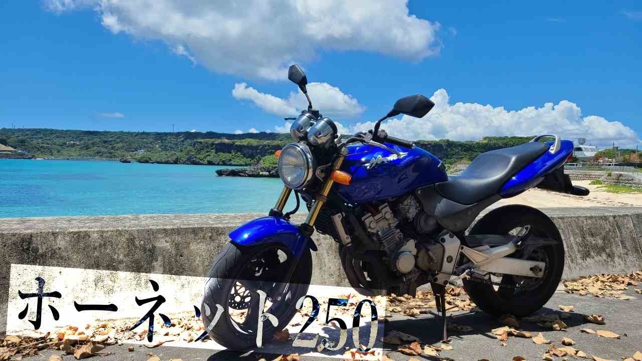 HONDA ホーネット250を買う前に必見レビュー！【購入参考動画】