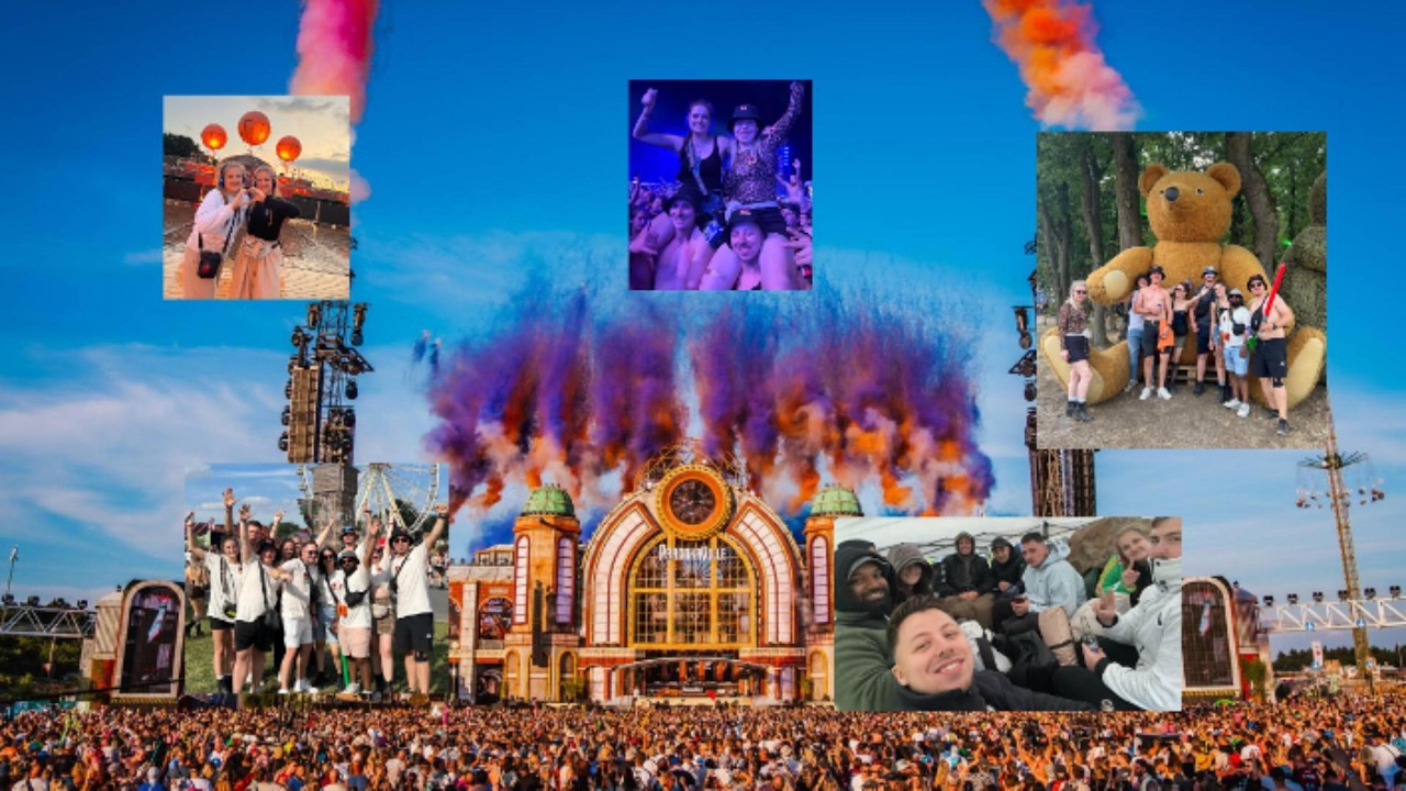 PAROOKAVILLE 2025 | koelleamrave