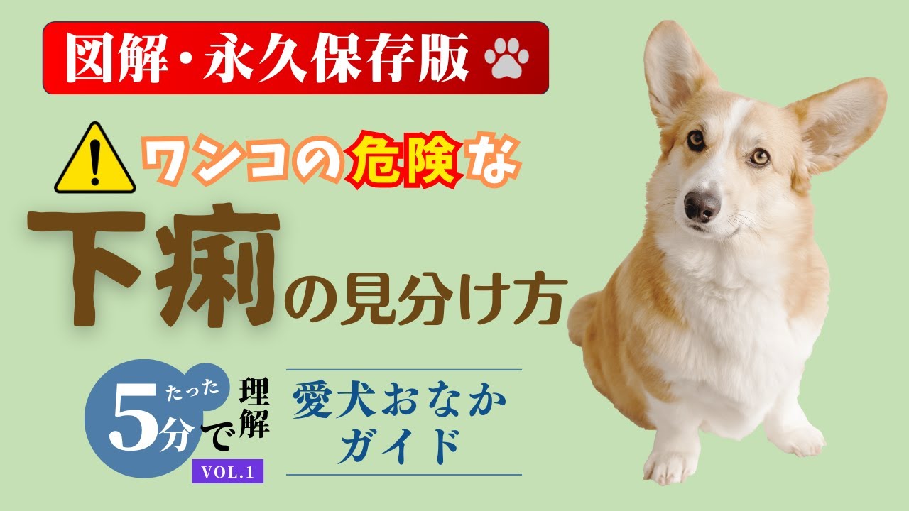 病院or様子見？まずは知りたい危険な犬の下痢【獣医師監修】5分でワンコのお腹について教養アップ！【ペットの腸活サプリメーカー執筆】【犬 下痢 血便 原因】