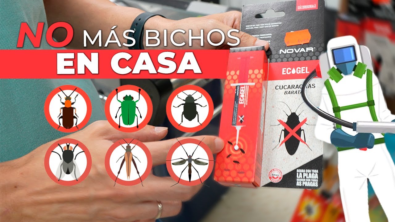 Cómo ❌ ELIMINAR BICHOS 🪲y EVITAR PLAGAS 🏠en CASA (Cucarachas, hormigas, peces de plata...)
