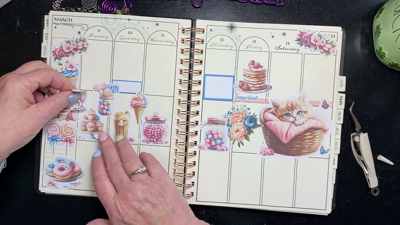 Planning for March 9-15 in my Tracking planner!