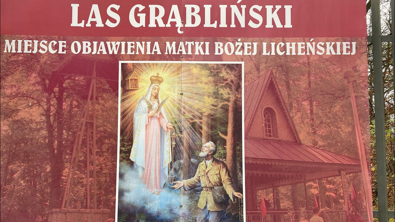 LAS GRĄBLIŃSKI KOŁO LICHENIA.
