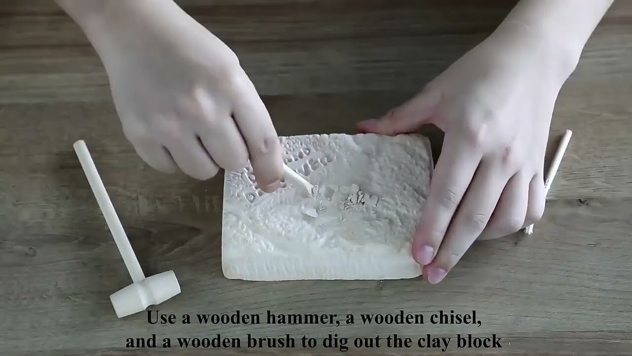 Dig & Discover Dinosaur Fossils Toy Kit
