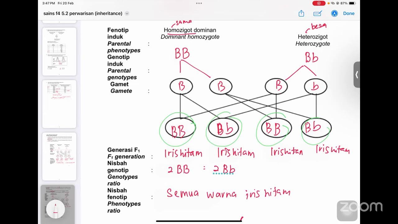 F4 Sains Online Tuition | Cikgu Fatin