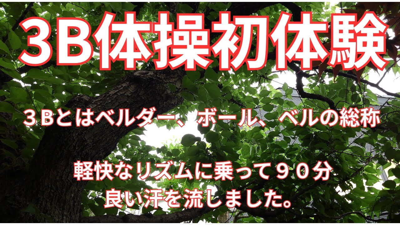 「３B体操初挑戦 」今回はボールなし。大変な動きはないのにへとへとになりました。#スローライフ #暮らしチャンネル #７５歳一人暮らし＃人生の楽しみ方　＃体操　＃レジェンドたちの健康の秘訣