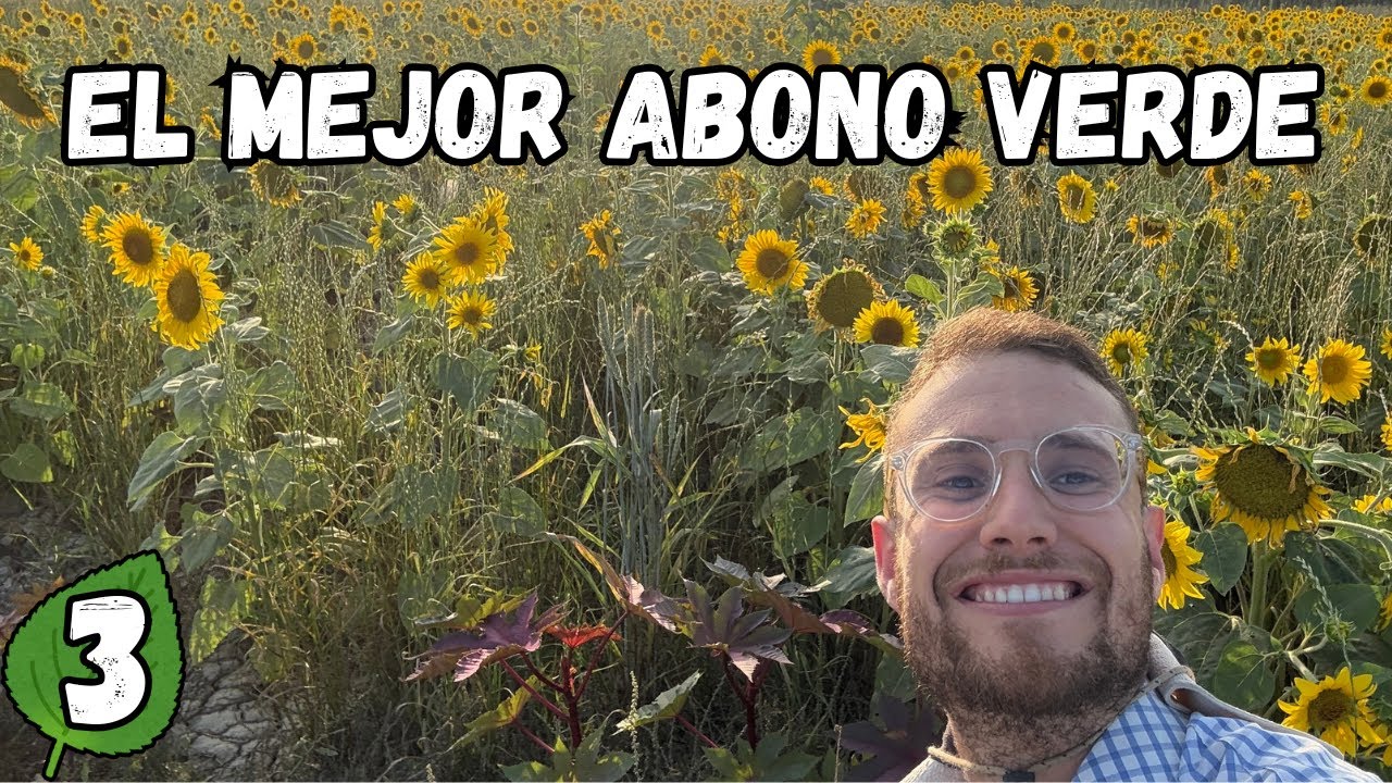 Cu&aacute;l es el MEJOR ABONO VERDE para tu terreno 🌱 La Granja Abono Verde Ep 3