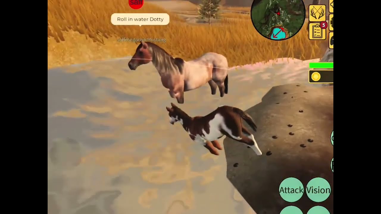 A growing up story of a wild horse Foal\ Roblox YSU with my fan Saffrongoose