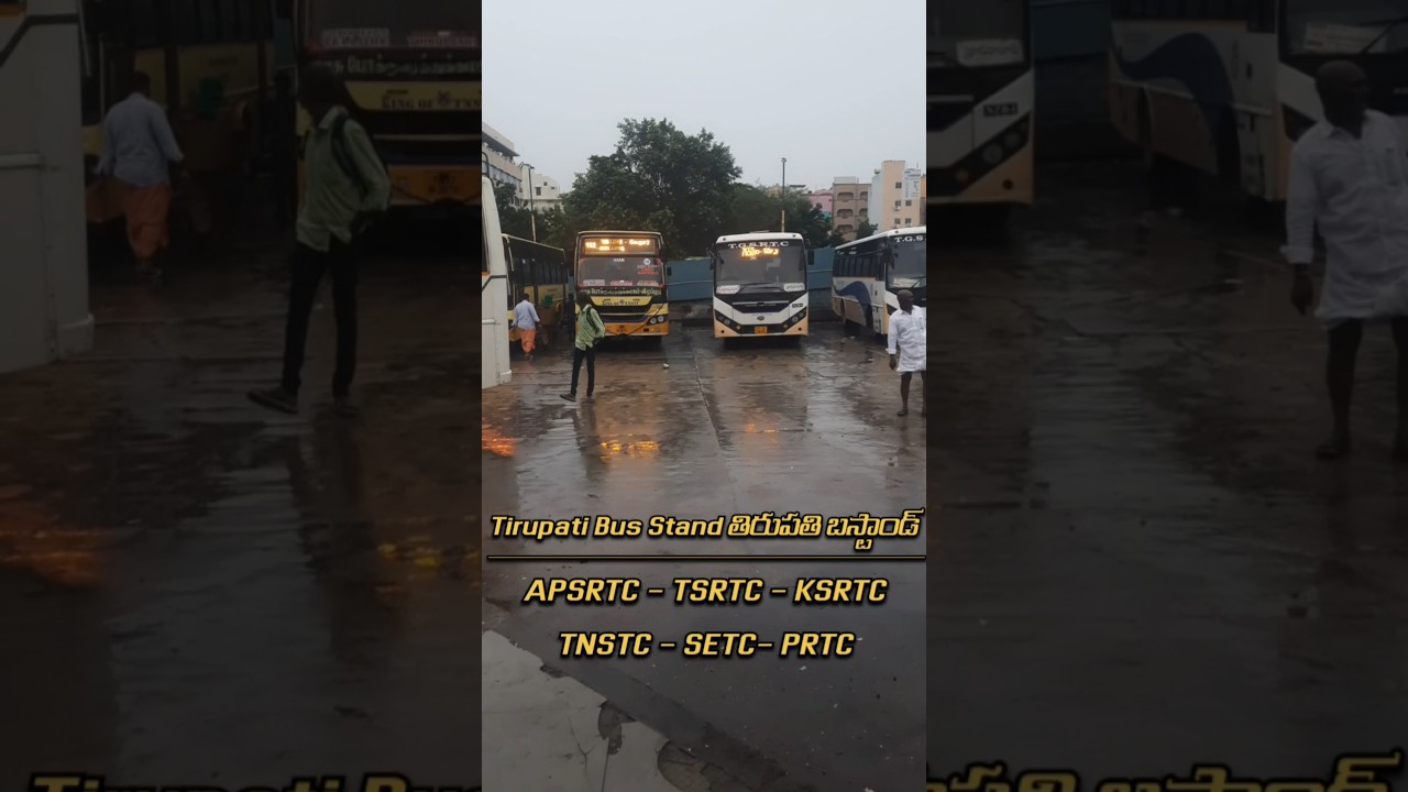 తిరుపతి బస్టాండ్ Tirupati Bus Stand All RTC Busses APSRTC , TGSRTC , KSRTC , TNSTC, SETC , PRTC