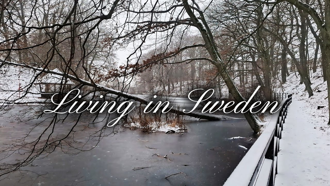 Living in Sweden | A Quiet Winter Morning in Sweden ❄️