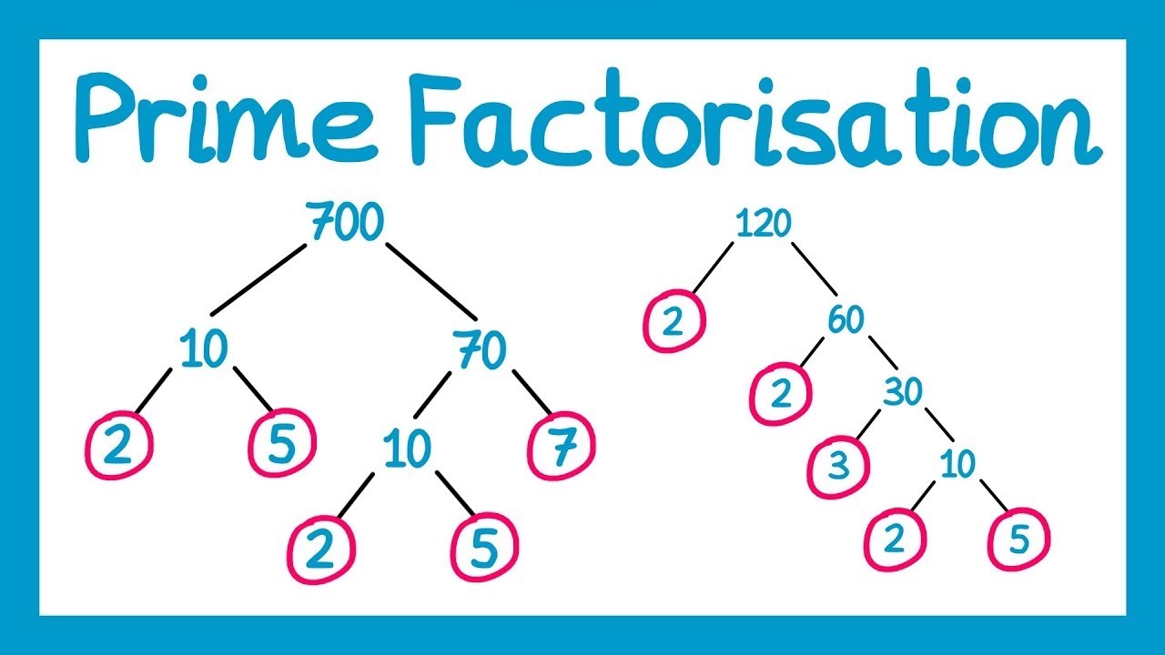 Prime Factorization | There’s beauty in Number theory 😅