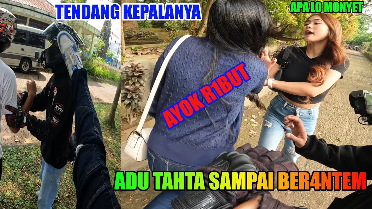 CEWEK BAKU HAN_TAM MEREBUTKAN COWOK 