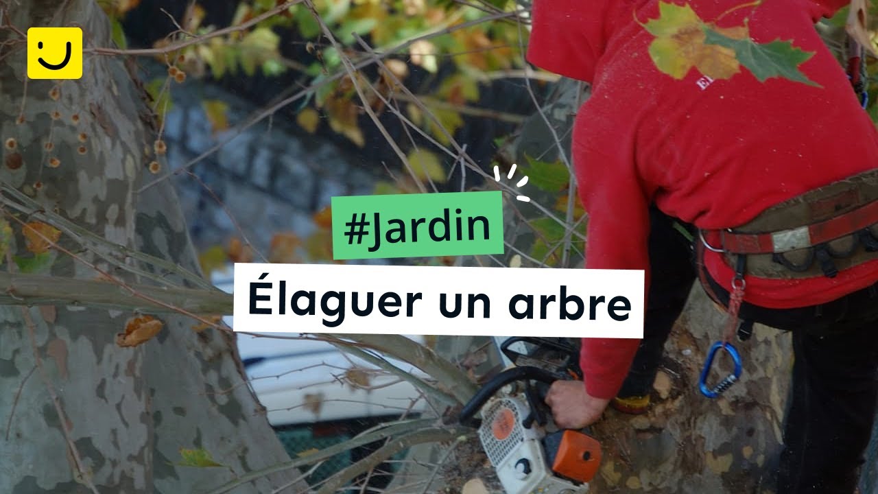 &Eacute;laguer un arbre