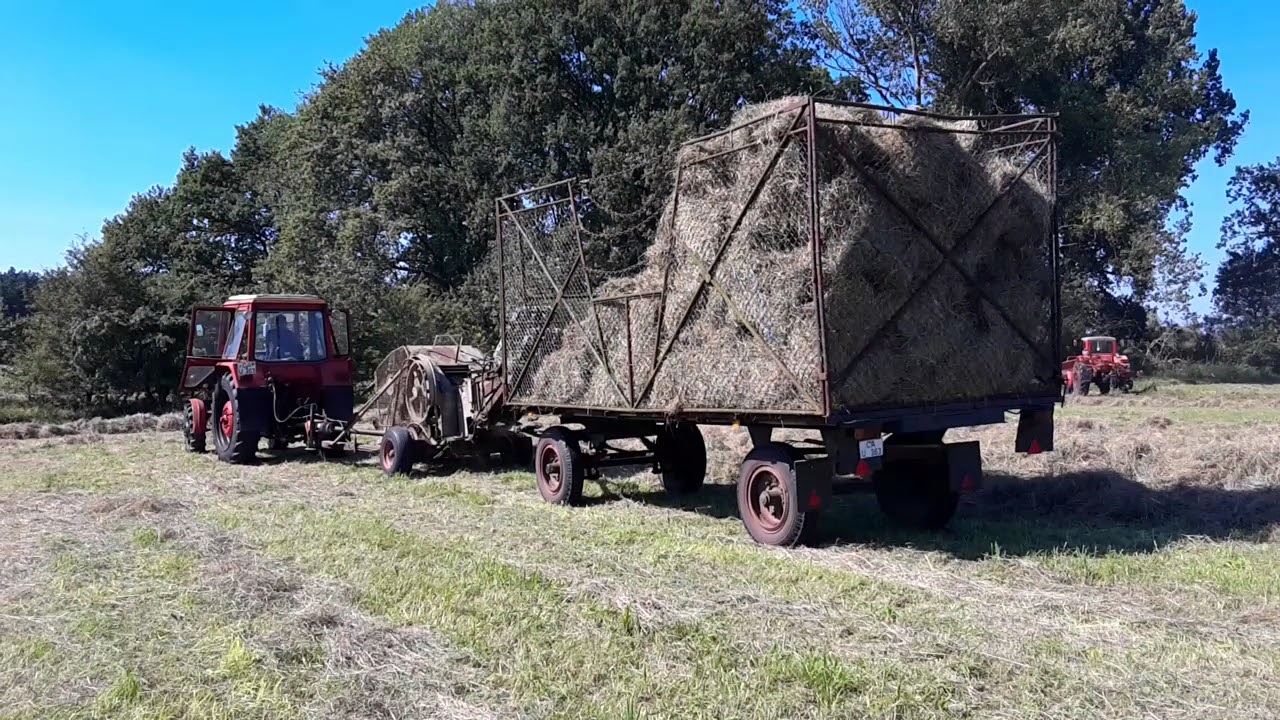 Heuernte 2017 im Spreewald Belarus MTS 82  K442