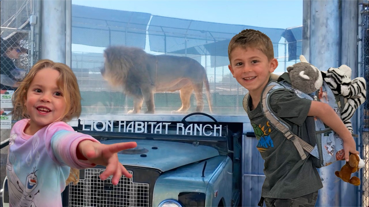 Our Adventure to the Las Vegas Lion Habitat 🦁 | Remembering Ozzie ❤️