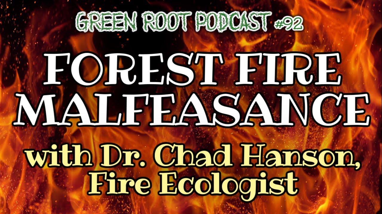 FOREST FIRE MALFEASANCE (with Dr. Chad Hanson, Fire Ecologist)