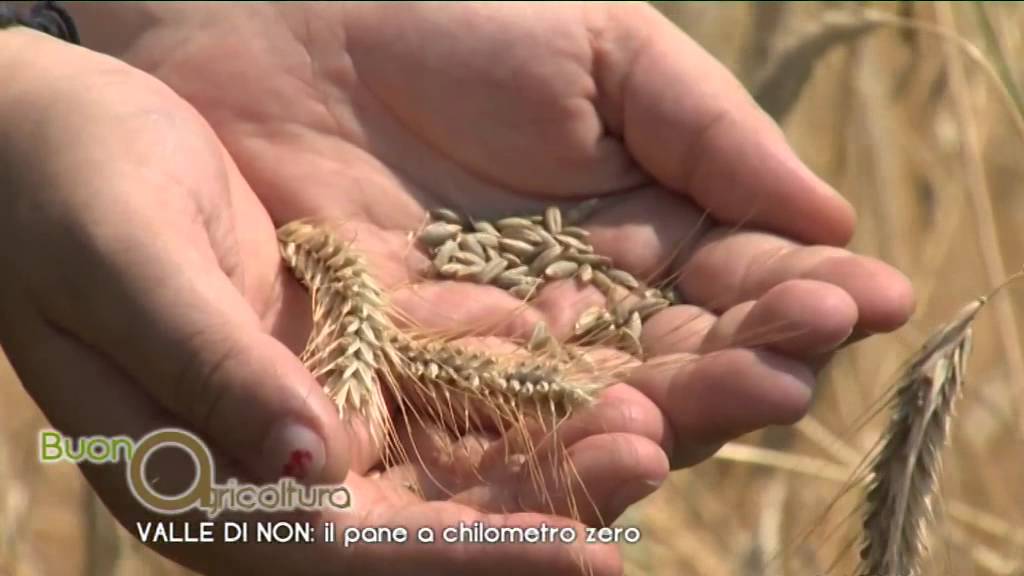 Valle di Non: il pane a chilometro 0