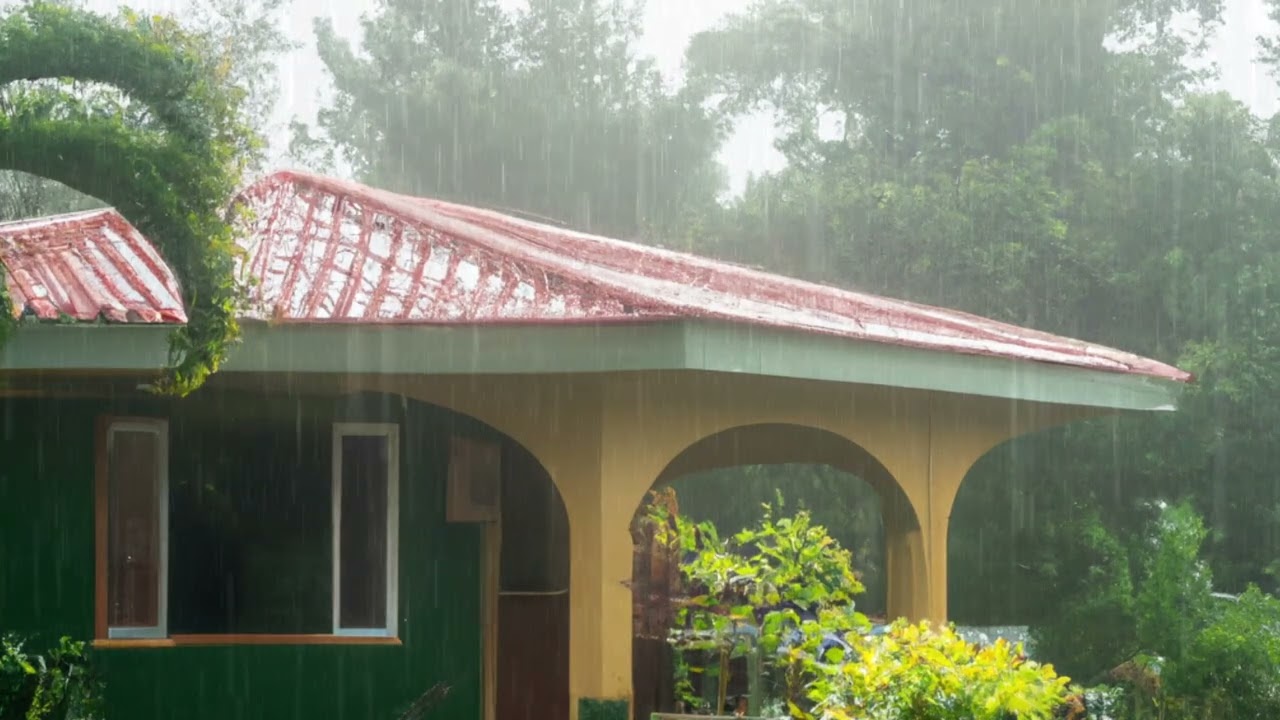 Heavy rainfall in Jamaican Countryside: Rain Sounds in Jamaica