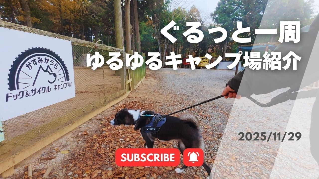 【ドッグ＆サイクル】道に迷いながらぐるっと一周キャンプ場紹介！