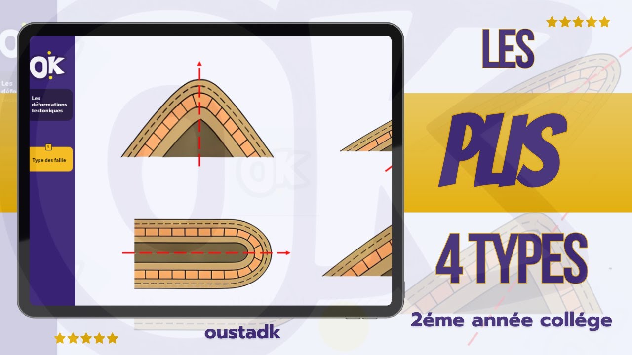 2AC  | Les 4 types des plis