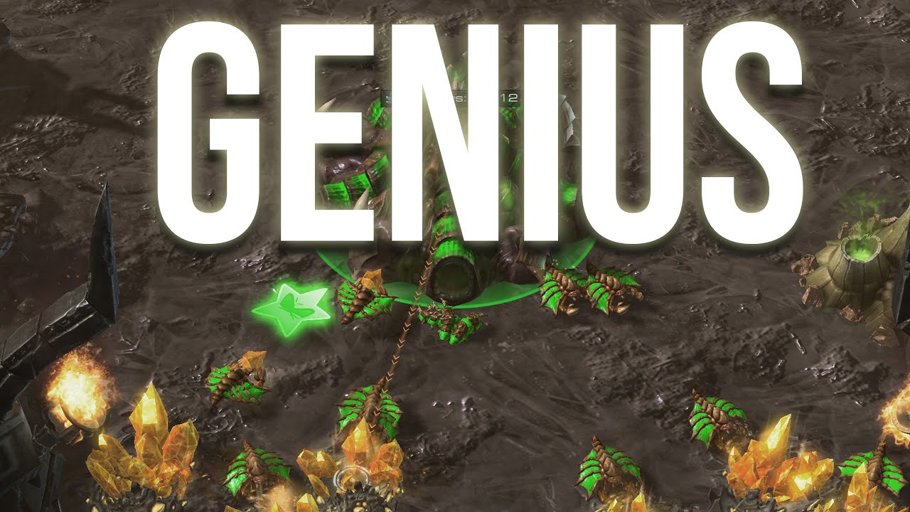Genius DOUBLE Gold Cheese in GSL Finals