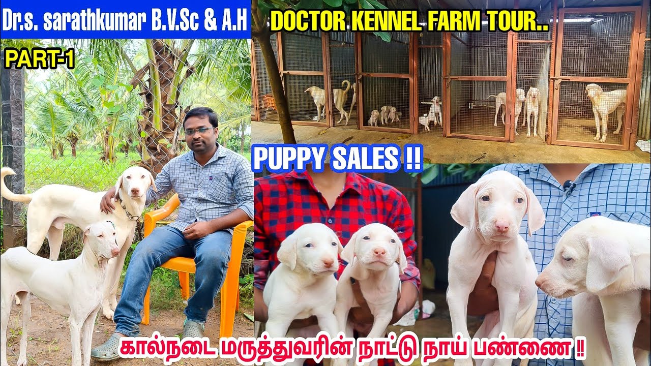 Doctor Kennel- Part 1 | ராஜபாளையம் நாய் பற்றி கால்நடை மருத்துவரின்  அறிவியல் அனுபவம்|Dog,Puppy Sales