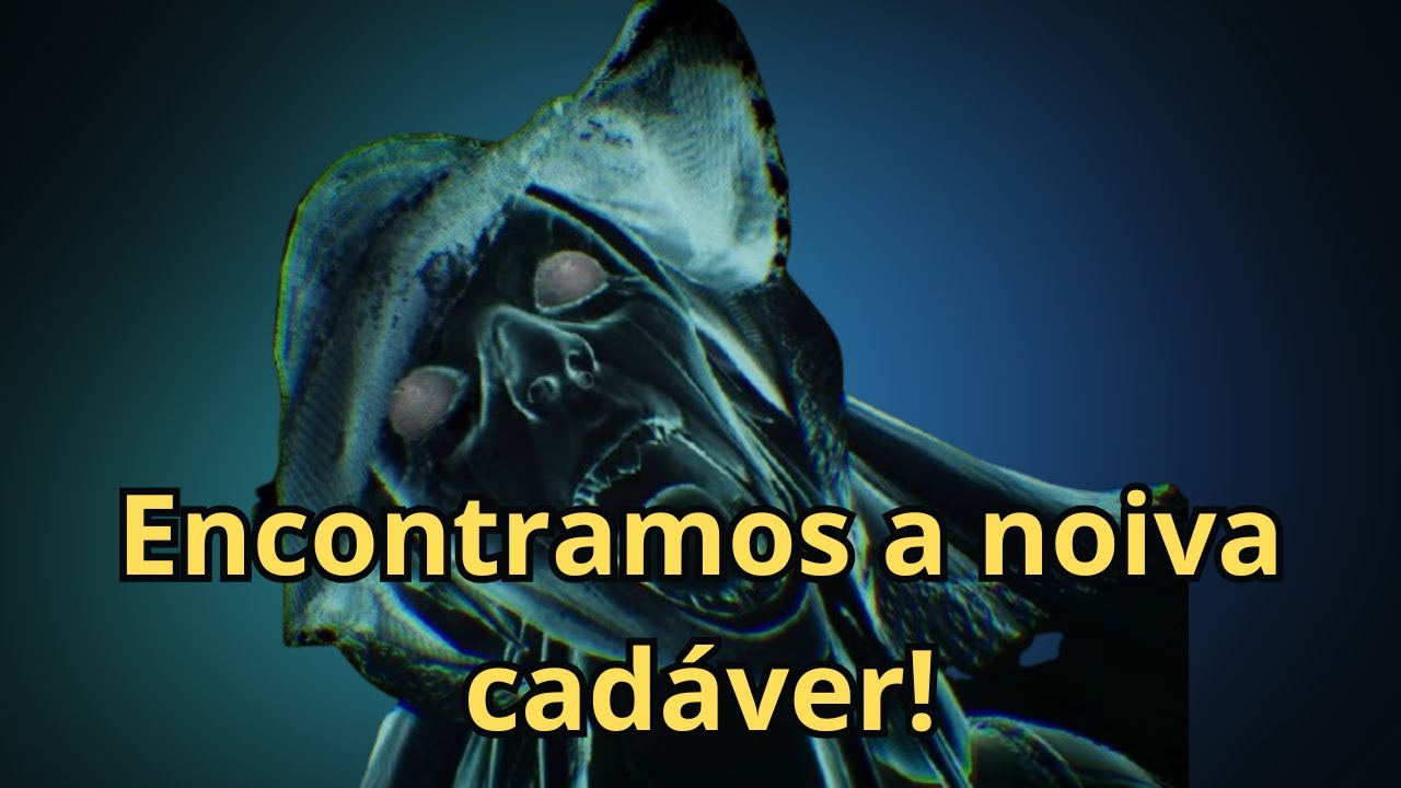Fui tentar roubar uma mansão com meu amigo, mas deu tudo errado no final!