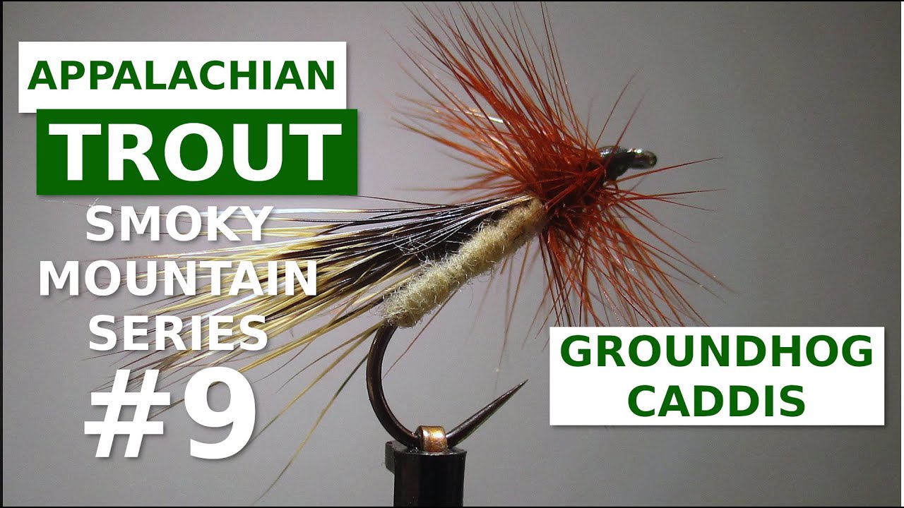 Groundhog Caddis - Fly Tying Appalachian/Great Smoky Mountain Trout Flies