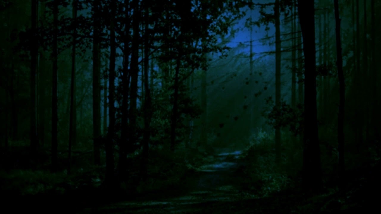 The Birds Are Singing At Night - Lord Huron (Slowed + Reverb)