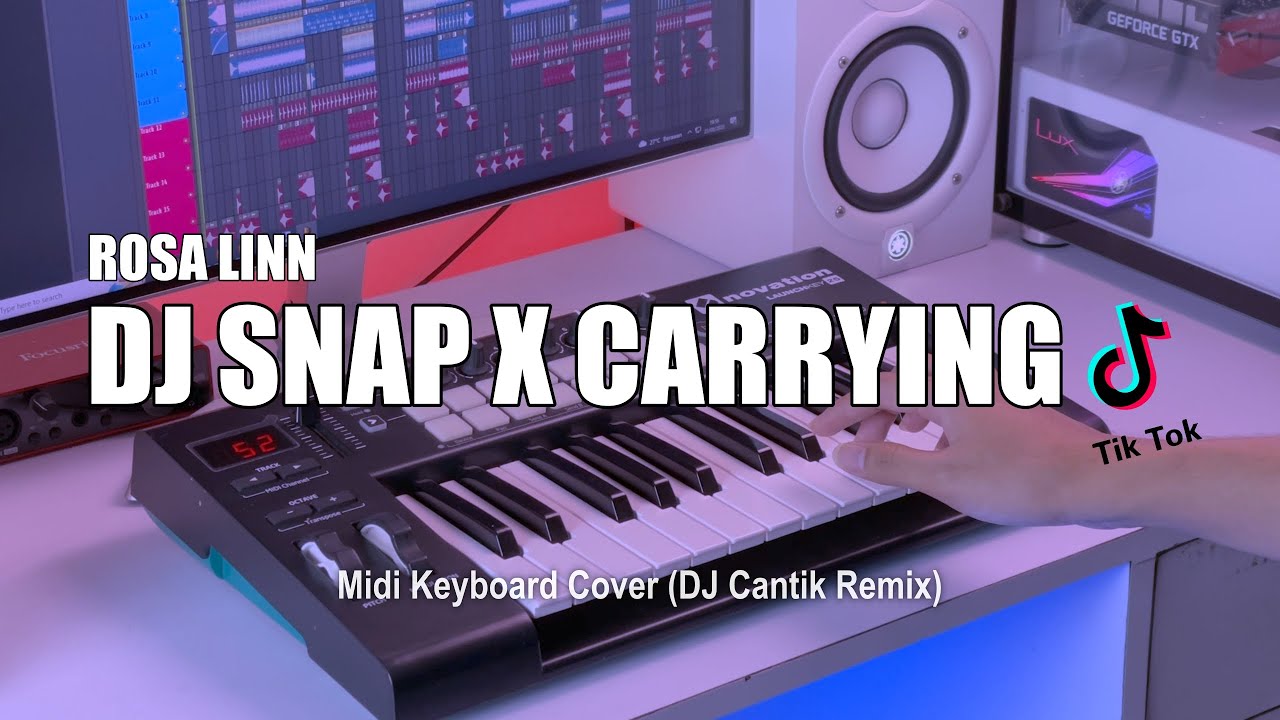 DJ Snap x Carrying Your Love Tik Tok Remix Terbaru 2022 (DJ Cantik Remix)