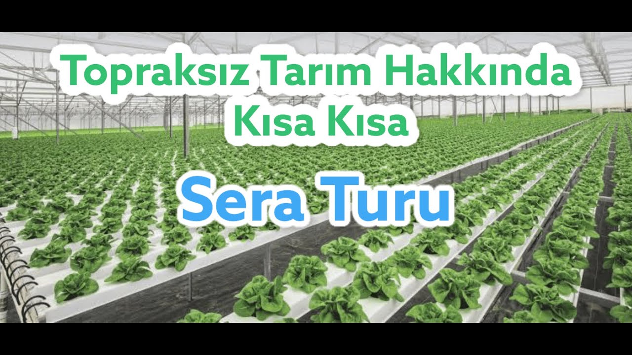 Kısa Kısa Topraksız Tarım Sera Turu