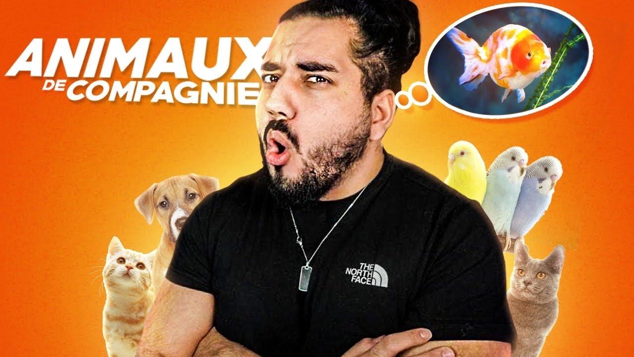 LES ANIMAUX DE COMPAGNIE