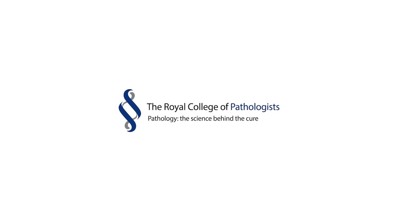 College update: New CESR standard (Portfolio Pathway) and reviewing the 2021 curricula