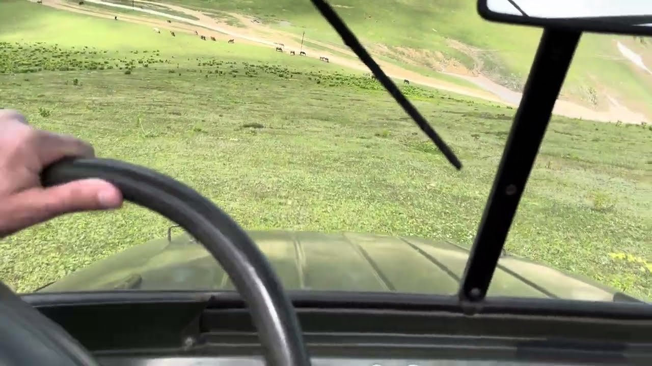 UAZ 3151 / ბახმარო, მთა 