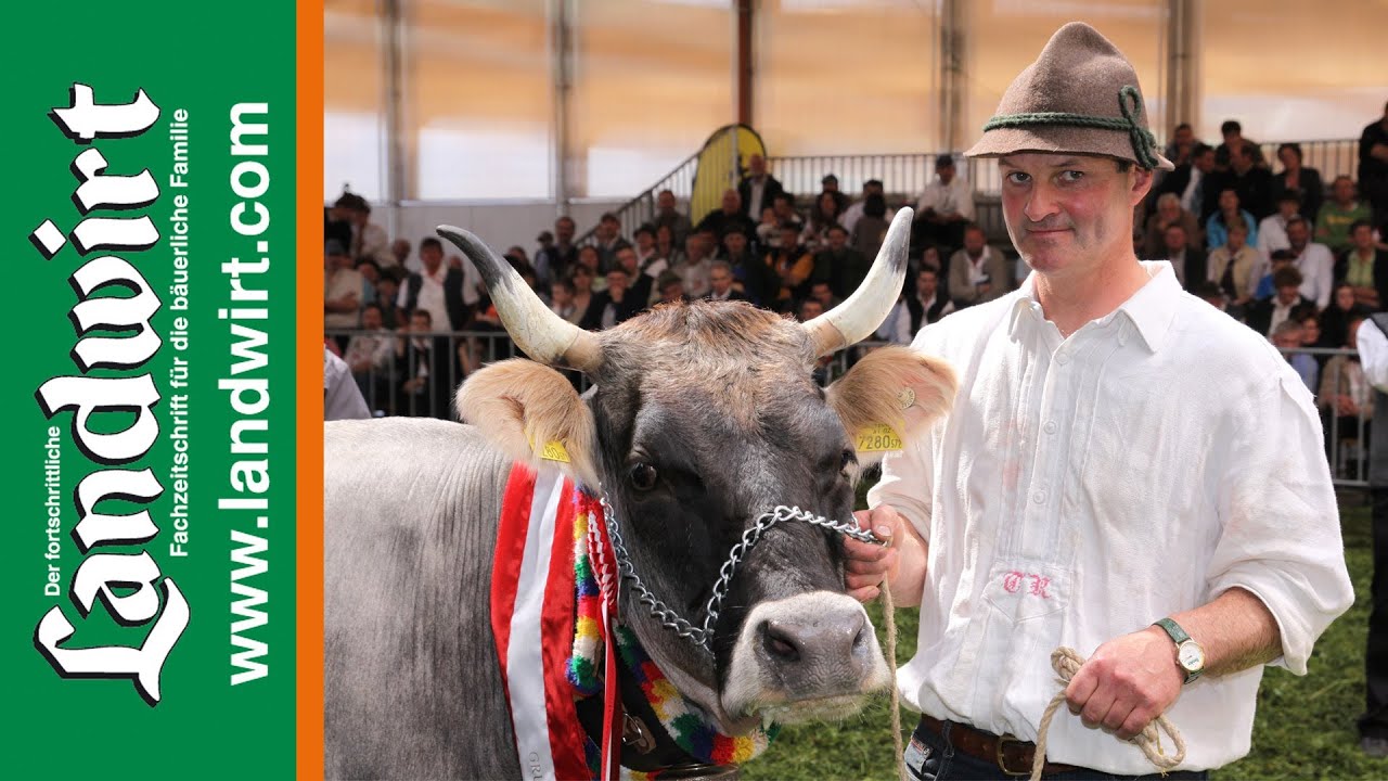 kuisa 09 - Bundesgrauviehschau in Imst