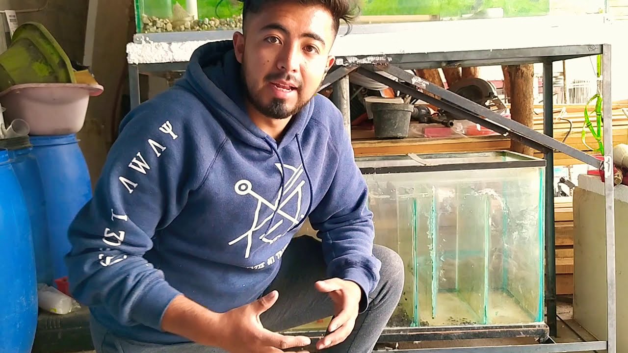 como hacer un sump para agua dulce 🐟 | EL TIERNO